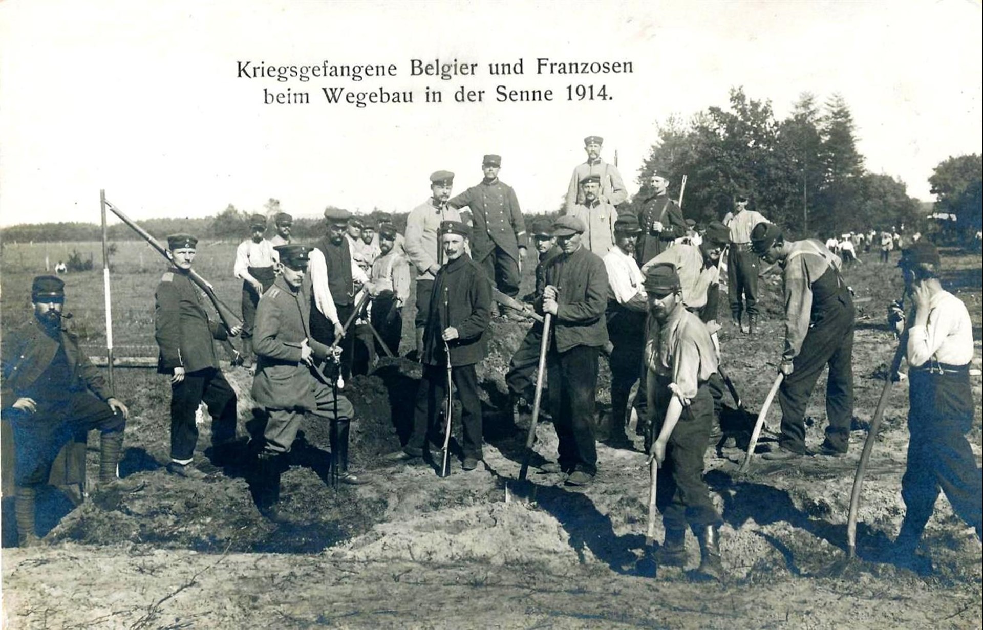 Kriegsgefangene Belgier und Franzosen beim Wegebau in der Senne.